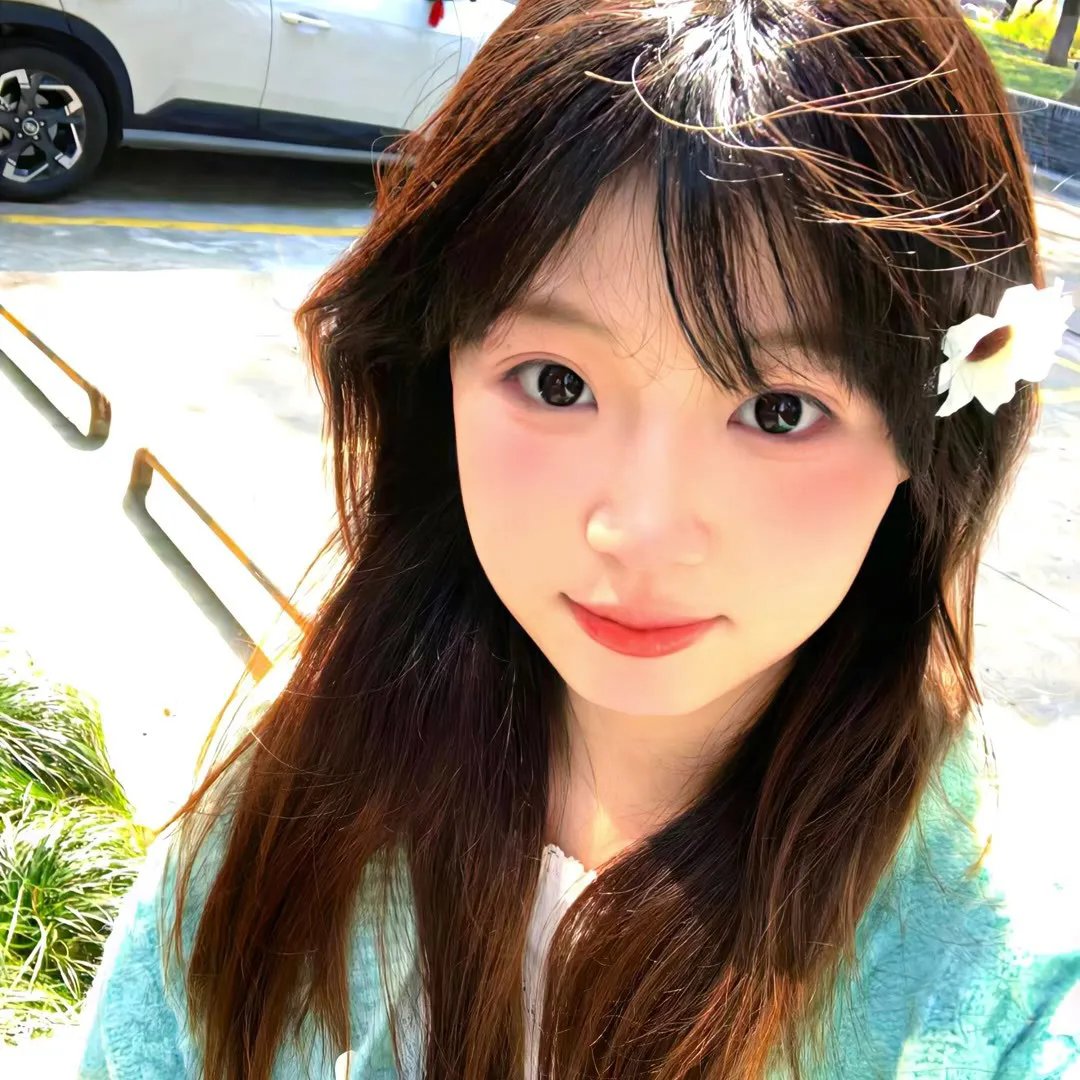 担保（韩国电影）
