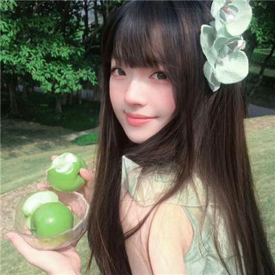 太阳神父月亮修女